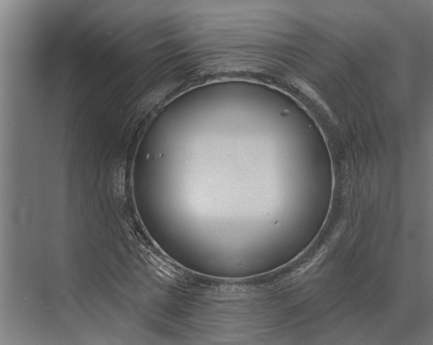 X0000073870777200608241133