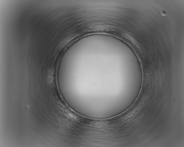 X0000073870778200608241133