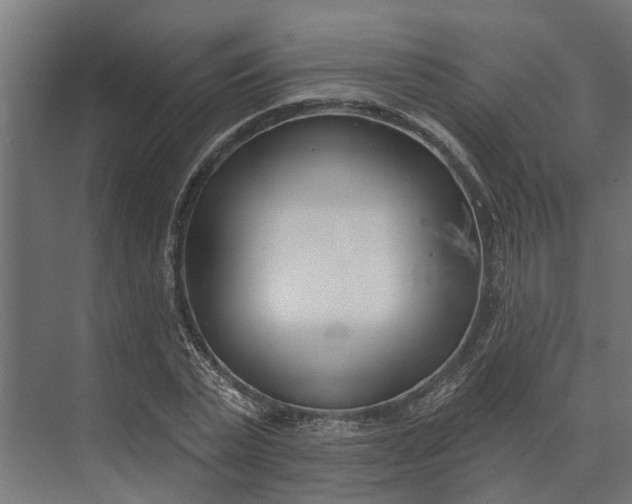 X0000073870783200608241133