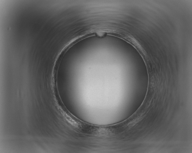 X0000073870787200608241133