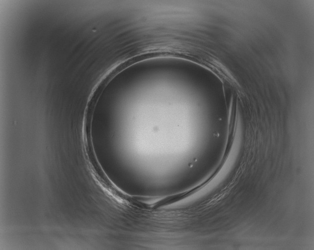 X0000073870788200608241133