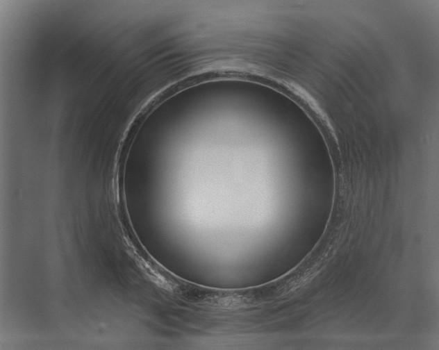 X0000073870791200608241133