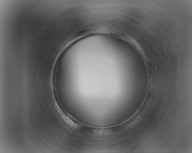 X0000073870795200608241133