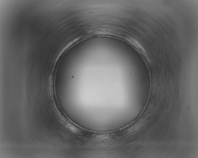 X0000073870798200608241133