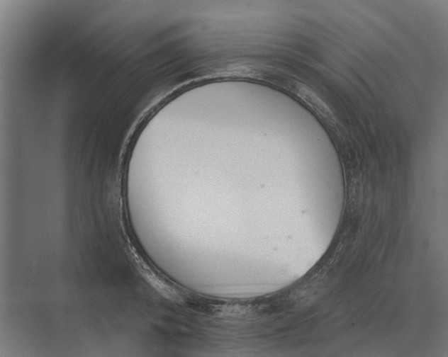 X0000073870800200608241133