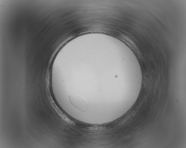 X0000073870804200608241133