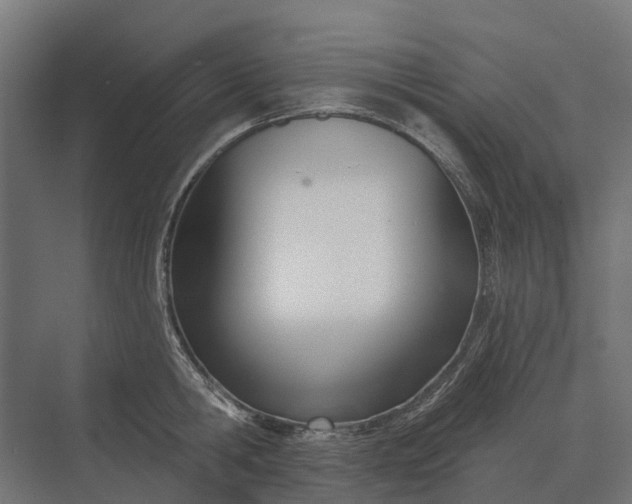 X0000073870806200608241133