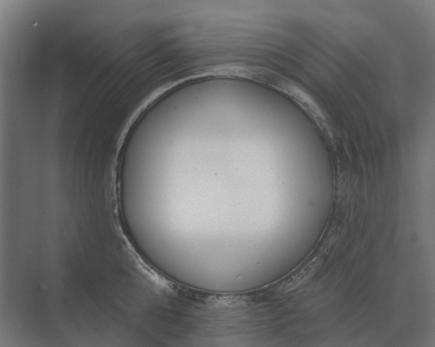 X0000073870808200608241133