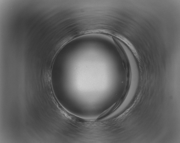 X0000073870809200608241133