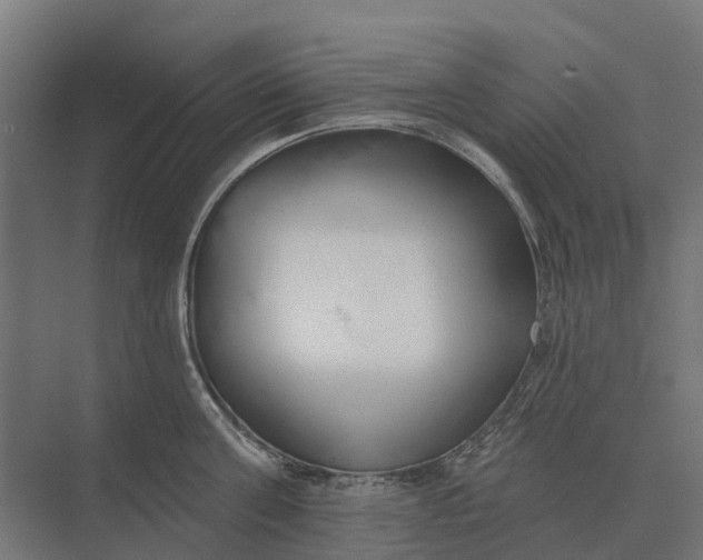 X0000073870811200608241133