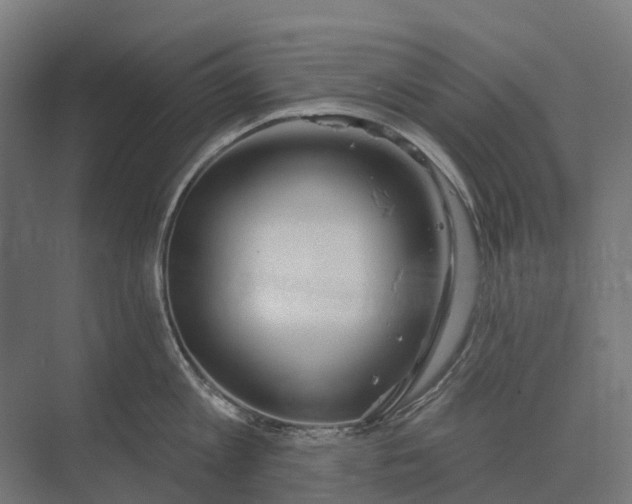 X0000073870813200608241133