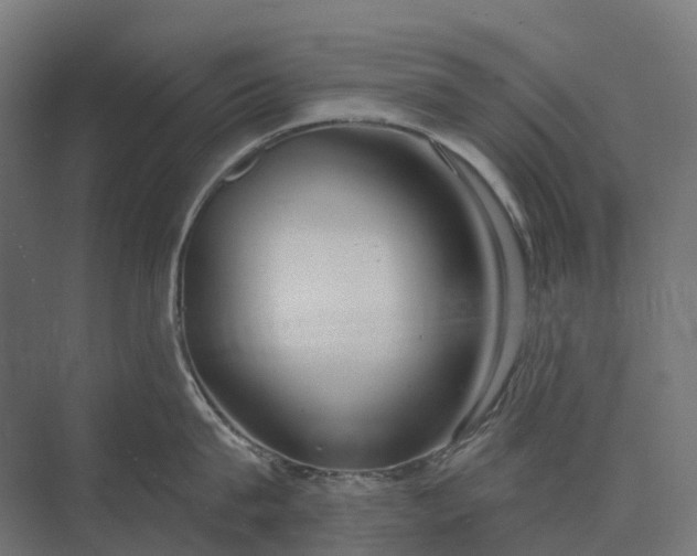 X0000073870815200608241133