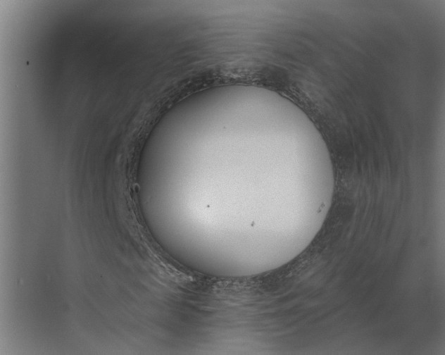 X0000073870817200608241132