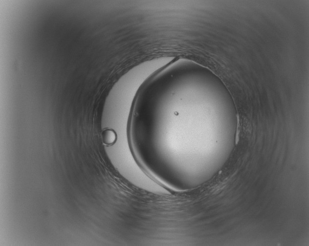 X0000073870818200608241132