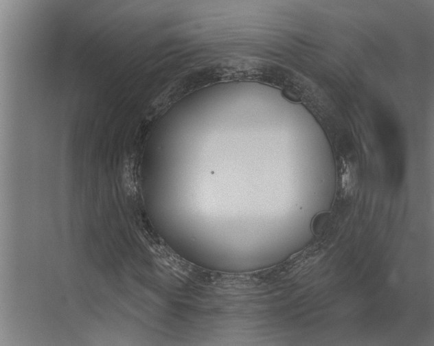 X0000073870819200608241132