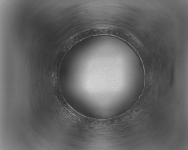 X0000073870821200608241132