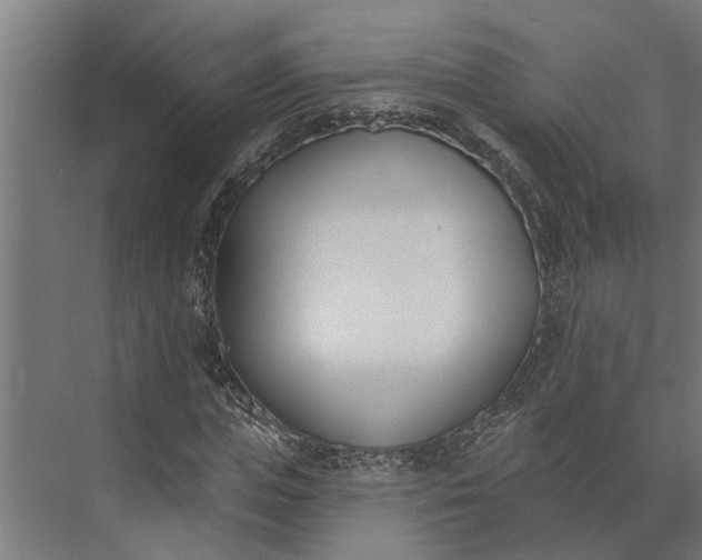 X0000073870823200608241132