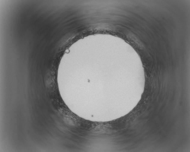 X0000073870824200608241132