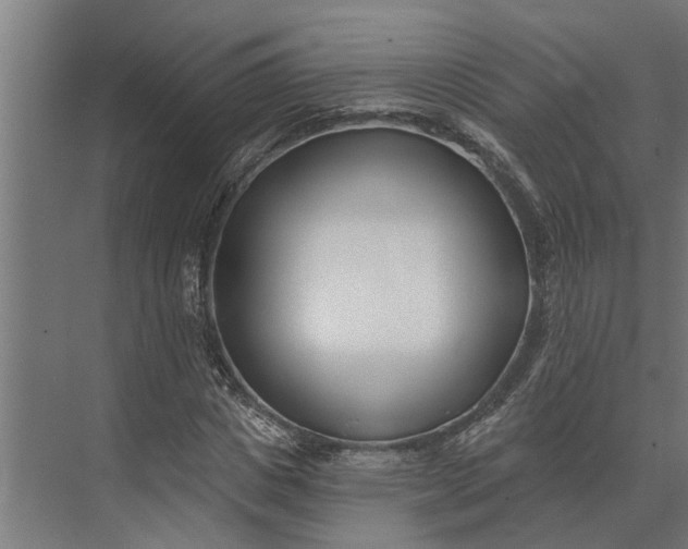 X0000073870825200608241132