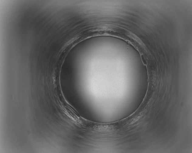 X0000073870826200608241132