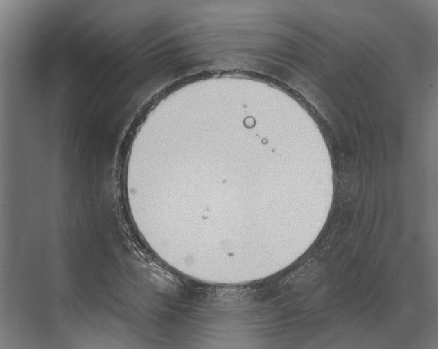 X0000073870832200608241132