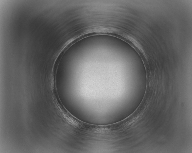 X0000073870837200608241132