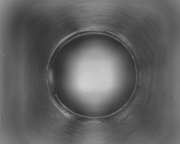 X0000073870838200608241132