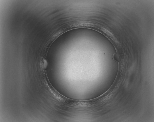 X0000073870841200608241132