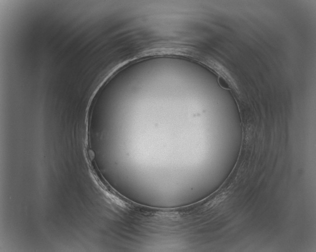 X0000073870844200608241132