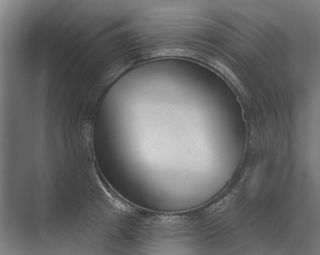 X0000073870849200608241132