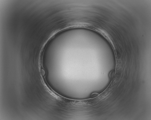 X0000073870851200608241133