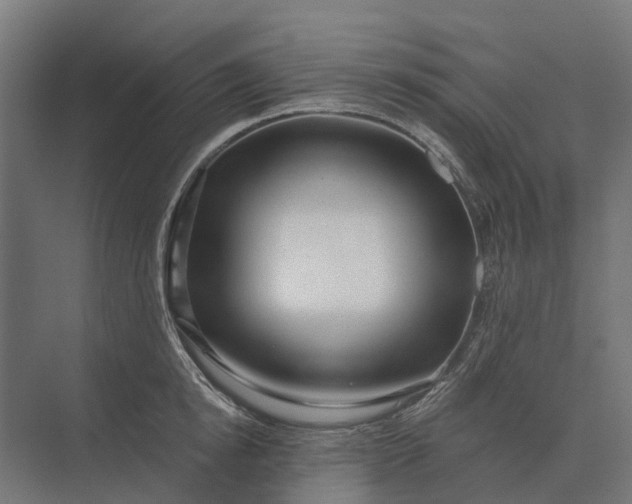 X0000073870854200608241133