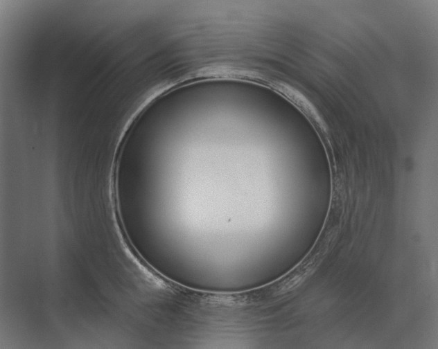 X0000073870855200608241133