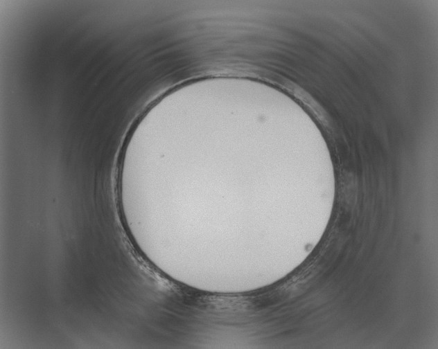 X0000073870856200608241133