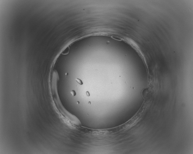 X0000073870859200608241133