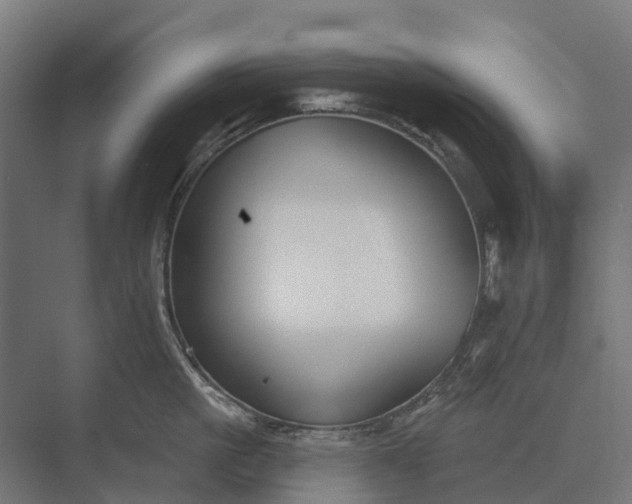 X0000073870861200608241133