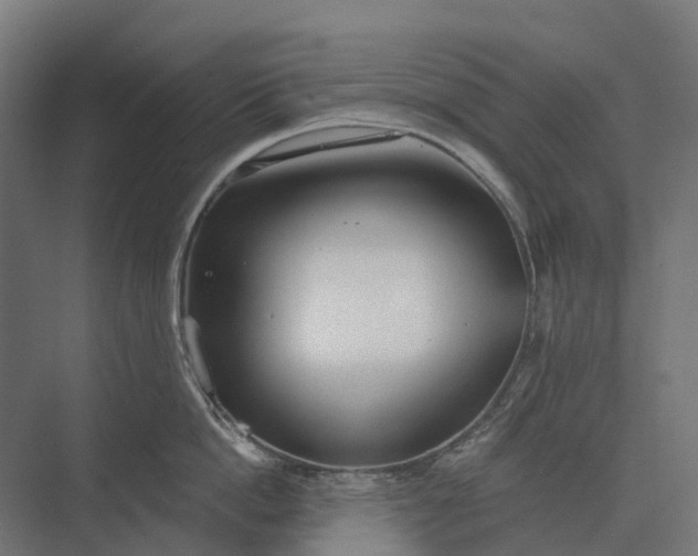 X0000073870862200608241133