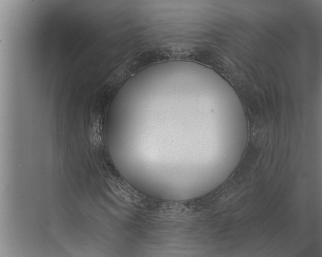 X0000073870866200608241132