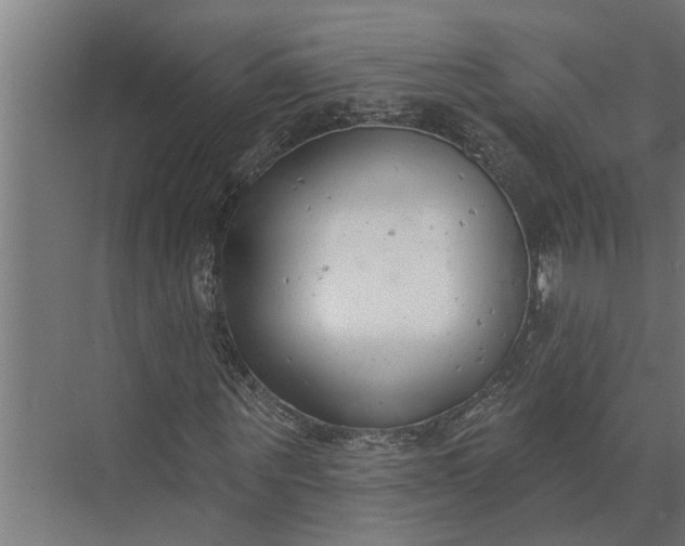 X0000073870867200608241132