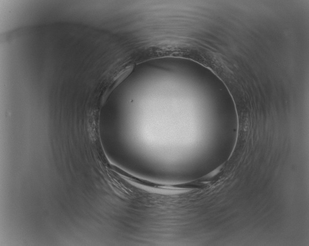 X0000073870868200608241132