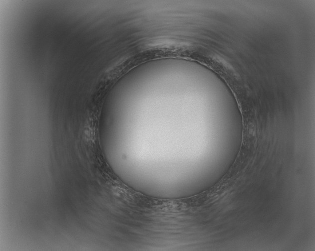 X0000073870869200608241132