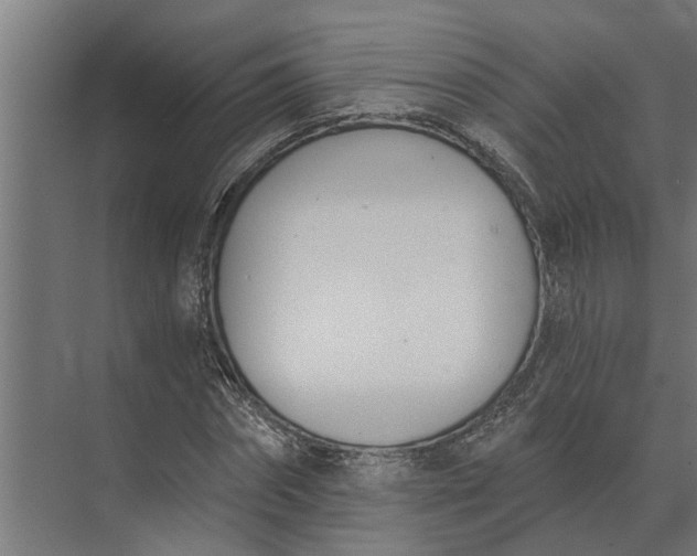 X0000073870874200608241132