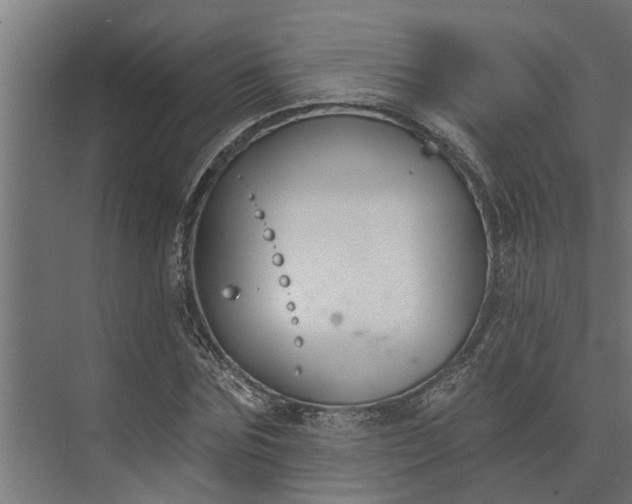 X0000073870875200608241132