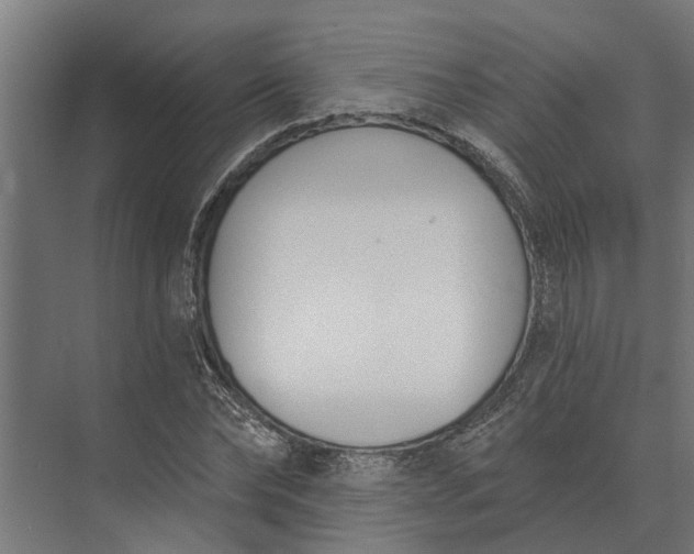 X0000073870878200608241132