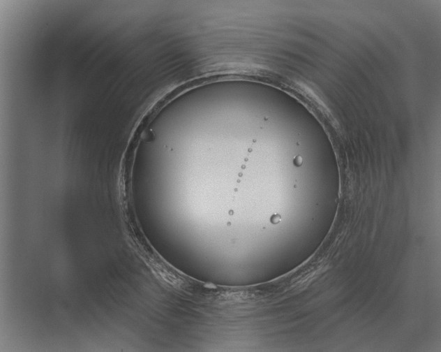 X0000073870883200608241132