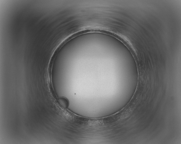 X0000073870887200608241132