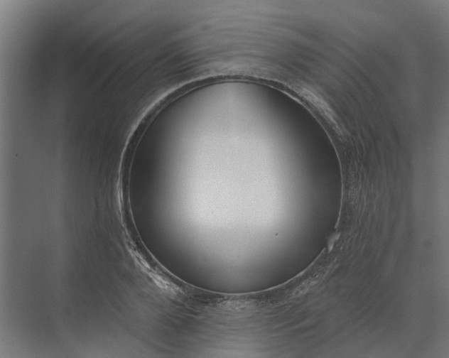 X0000073870888200608241132