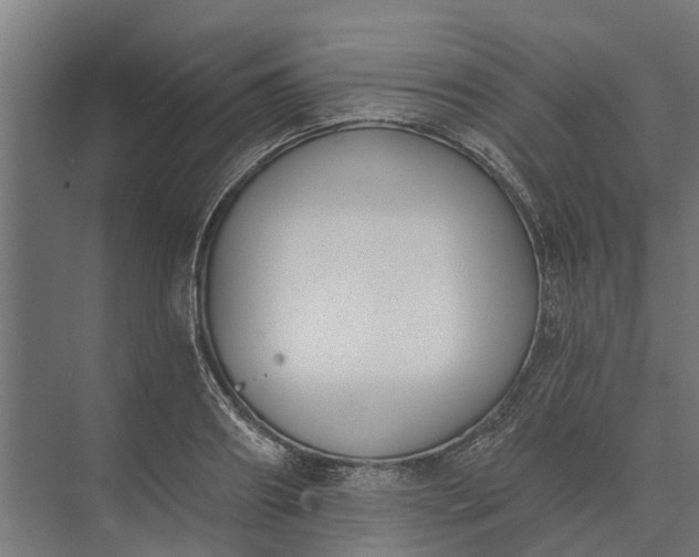 X0000073870890200608241131