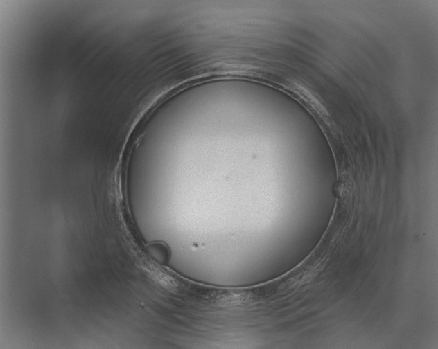 X0000073870891200608241131