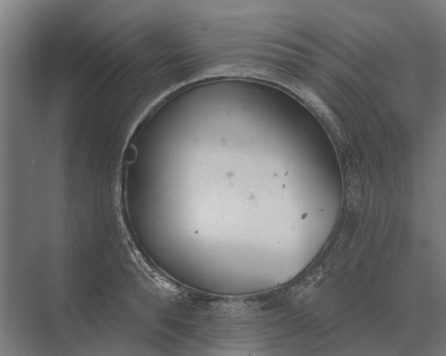 X0000073870896200608241131